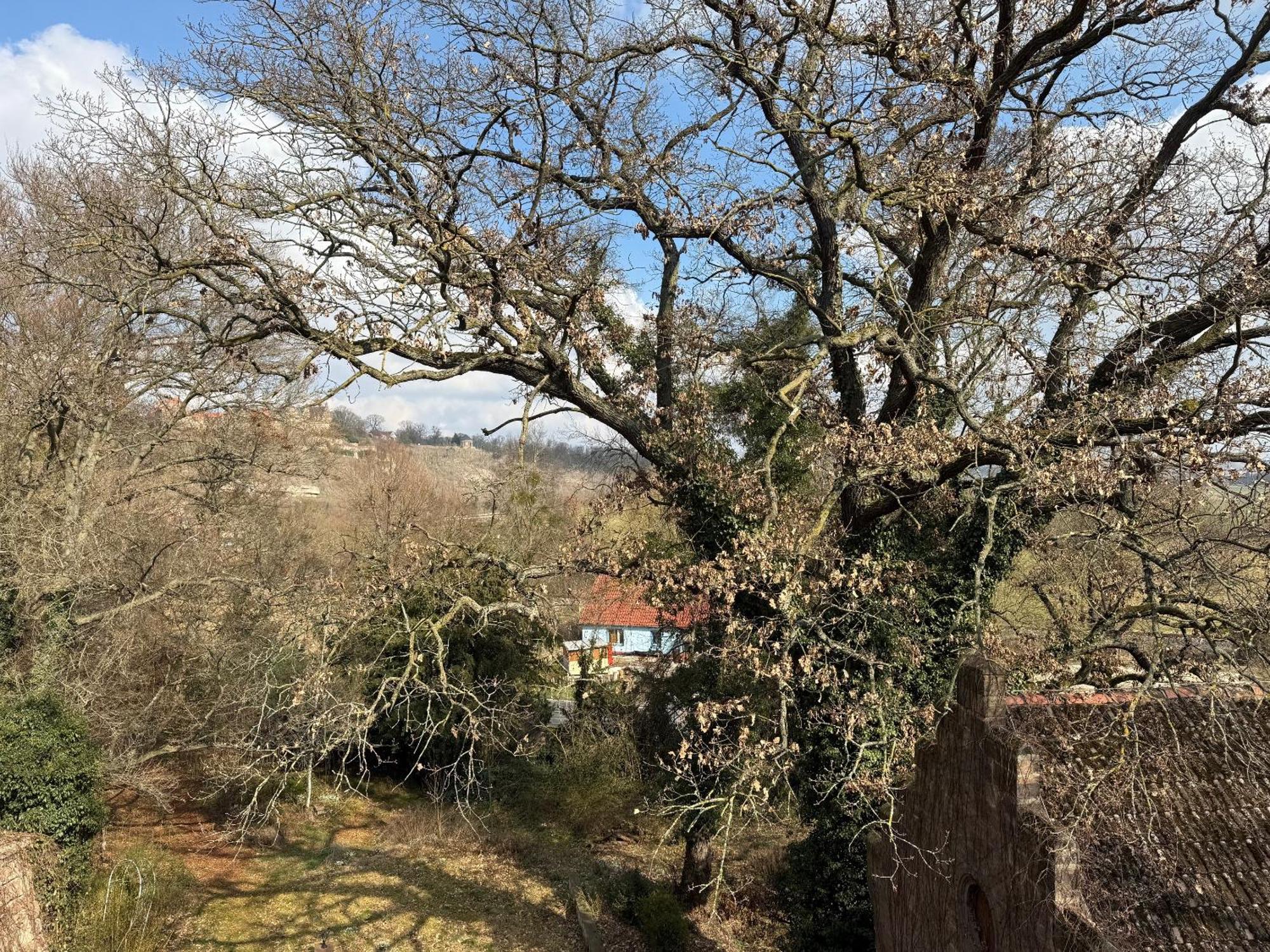 Schloss Zingst Querfurt Kültér fotó