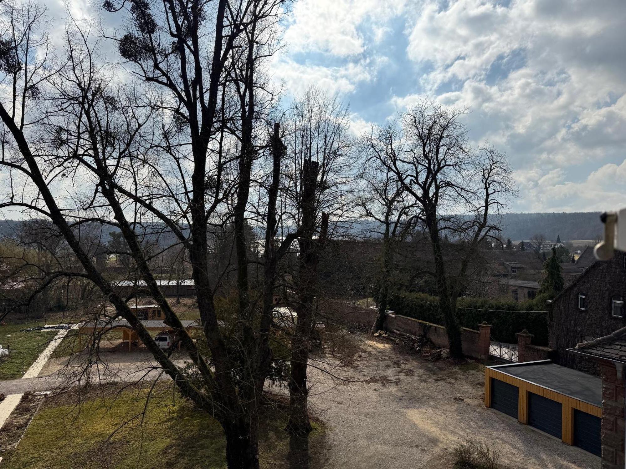 Schloss Zingst Querfurt Kültér fotó