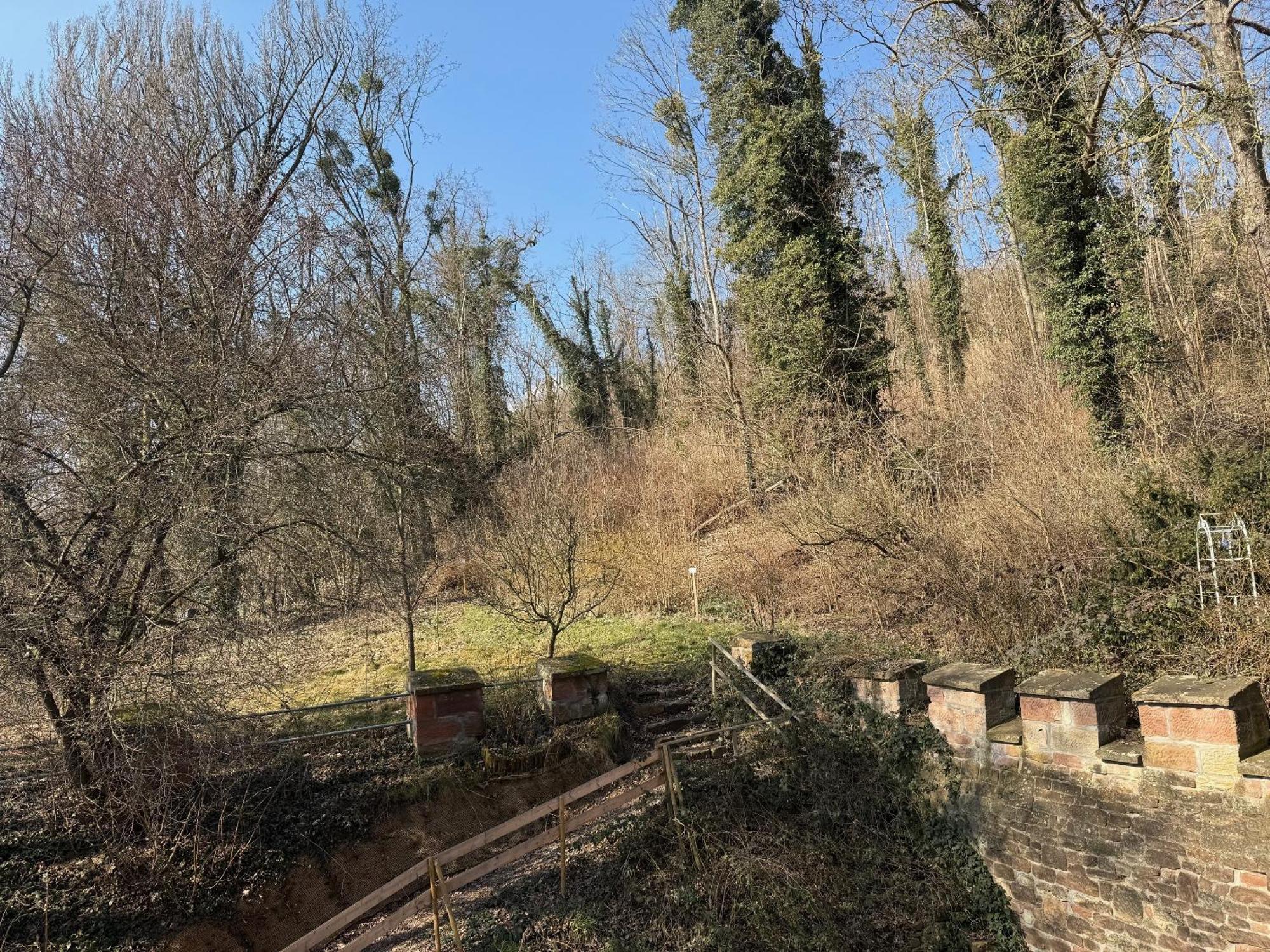 Schloss Zingst Querfurt Kültér fotó