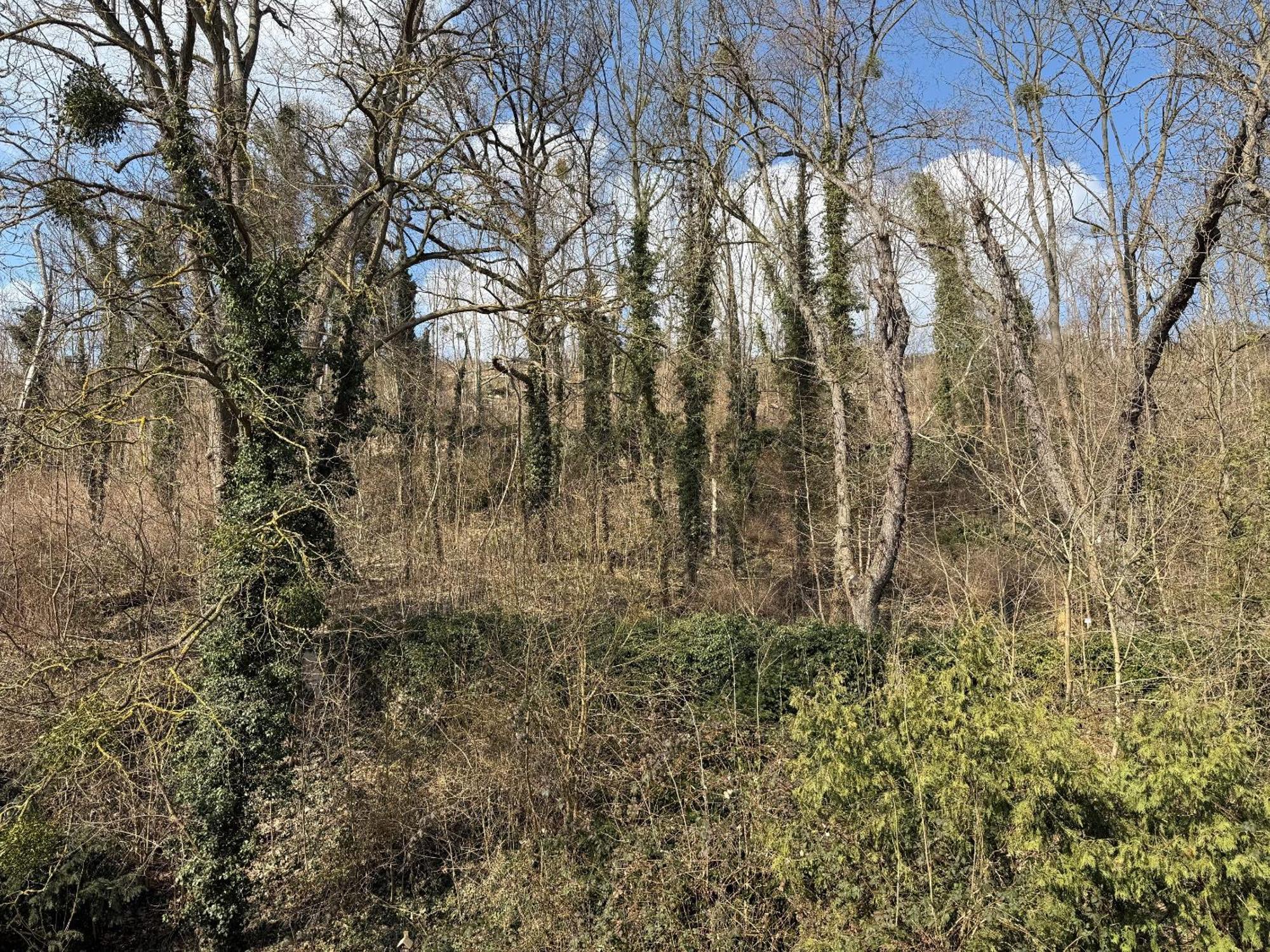Schloss Zingst Querfurt Kültér fotó